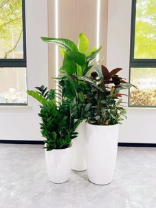 宁波余姚绿化养护公司